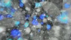 بي بي شیرینه – وي او اې ډيوه په ټیلې ویژن