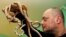 French man named Alexis, an exotic animal enthusiast, plays with his corn snakes (pantherophis guttatus) at his home in Bordeaux, France.