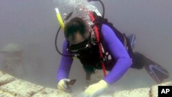 ARSIP - Artis Kim Brandell menyiapkan tempat untuk menyiapkan sisa kremasi di Neptune Memorial Reef, hari Jumat, 15 Februari 2008 – 3,25 mil lepas pantai Key Biscayne, Fla (foto: AP Photo/Wilfredo Lee)