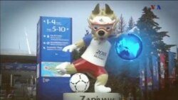 اخبار شامگاهی