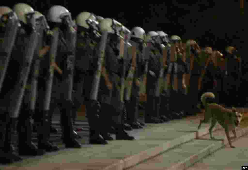 A stray dog passes next to riot police row that secures the Greek parliament building during a rally in central Athens, on Monday, Nov. 15, 2010 . More than 6,000 students and left-wing protesters took part in two separate demonstrations in central Athe