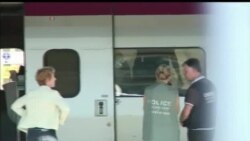 اخبار شامگاهی