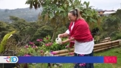 Silleteros de Medellín: Una colorida tradición que encierra una rica historia