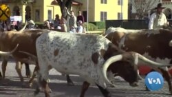 《建國史話》第59集：德克薩斯從墨西哥獨立