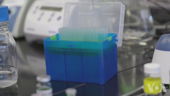 科学家们用荧光纳米颗粒与癌症斗争