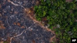 Una zona quemada del bosque tropical de la Amazonia en Prainha, en el estado de Pará, Brasil, en una foto del 23 de noviembre de 2019. La amazonia ha perdido el 10% de su vegetación autóctona en 4 décadas. 