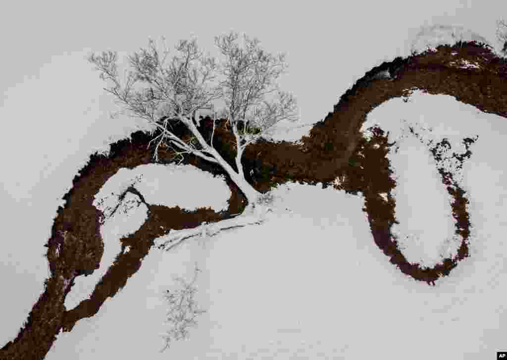 A tree lies over a small creek after heavy snow falls in the Taunus region near Frankfurt, Germany.