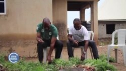 Naayijeriyaa Keessatti Proojektiin “Lafarraa Horadhu,” Jedhamee Eegalame, Oomisha Qonnaan Bultootaa Alatti Ergamu Dabalaa Jira