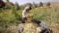 About 80 percent of women in rural Afghanistan work in agriculture. (Reuters File Photo)