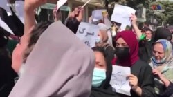 Կանայք առաջնորդում են Քաբուլում անցկացվող ցույցերն ընդդեմ Պակիստանի և Թալիբանի