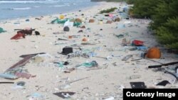 Udaba Esilethulwe Ngu Mavis Gama