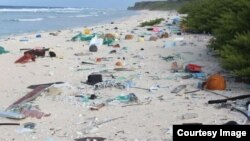 Researchers at the University of Tasmania say remote and uninhabited Henderson Island has the worst amount of plastic pollution in the world. (U. of Tasmania)