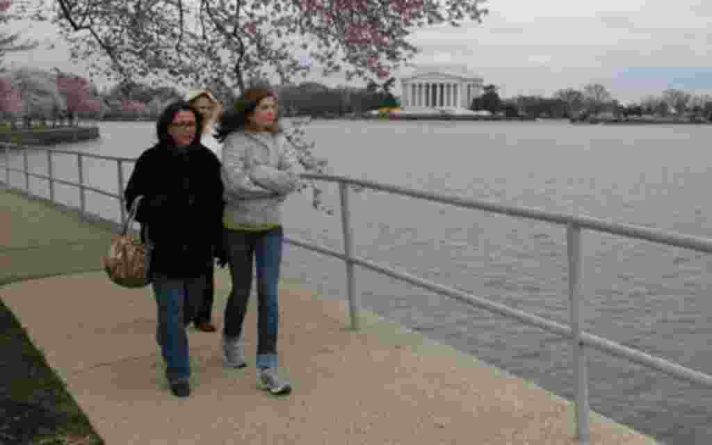 Marchers walked along the Tidal Basin in Washington, DC in support of Japan's victims