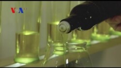 Istrian Olive Oil is The Best