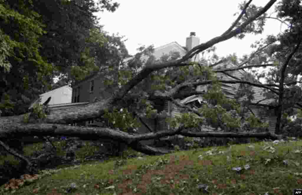 A tall oak tree gave way to Hurricane Irene, crushing a garage roof in its fall, in Laurel, Md., on the outskirts of Washington Sunday, Aug. 28, 2011. Md. No one in the home was injured. (AP Photo/Carolyn Kaster)