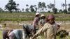 Local Cambodian villagers plant rice in a farm field during the rainy season in Prakar village.