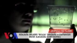 ამერიკა 60 წამში 02-03-2016