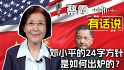 标题改成：蔡霞有话说：邓小平的24字方针是如何出炉的？
