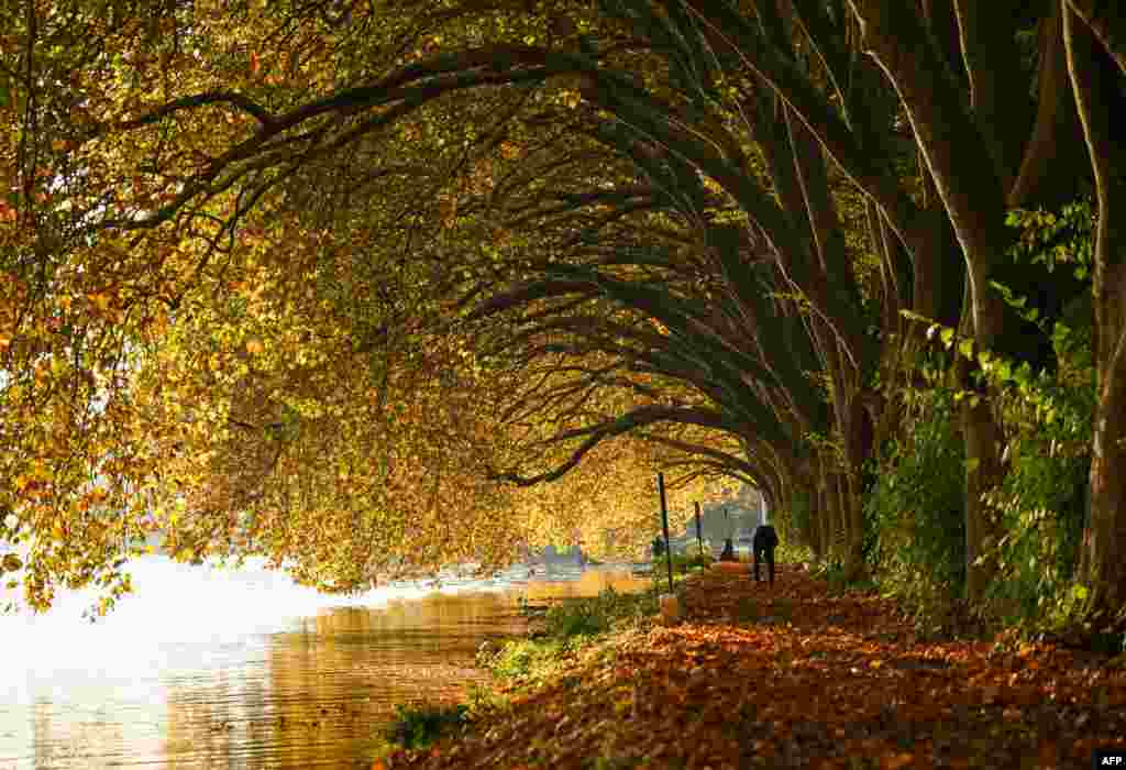 A man sets up a camera under colorful autumn trees at the Baldeney lake in Essen, western Germany.