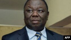 Mutungamiri weMDC T, VaMorgan Tsvangirai 
