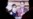 What Effect Will Kim Jong Nam’s Death Have on China-North Korea Relations?