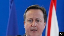 British Prime Minister David Cameron speaks during a media conference. (File Photo)