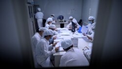 Researchers work in a lab at the Yisheng Biopharma company in Shenyang, in China’s northeast Liaoning province on June 10, 2020.