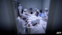 တရုတ်နိုင်ငံ Shenyang မြို့က Yisheng Biopharma ကုမ္ပဏီရဲ့ ဓာတ်ခွဲခန်းအတွင်း အလုပ်လုပ်နေကြတဲ့ သုတေသီတချို့။ (ဇွန် ၁၀၊ ၂၀၂၀)