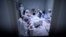 TOPSHOT - Researchers work in a lab at the Yisheng Biopharma company in Shenyang, in China’s northeast Liaoning province on June 10, 2020. - The company is one of a number in China trying to develop a vaccine for the COVID-19 coronavirus. (Photo by…