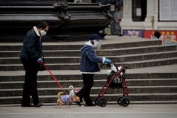 A woman wearing a home made face shield and mask walks a dog in Piccadilly Circus, central London, Sunday, May 3, 2020.