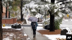 FILE - A student at Northern Arizona University walks through the campus in Flagstaff, Nov. 4, 2015, during the city's first snowfall of the season.