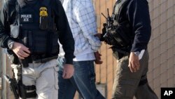 El Servicio de Inmigración y Aduanas, ICE, informó que 99 de los arrestados tenían antecedentes penales.