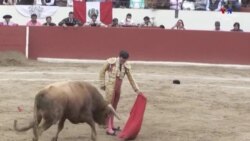 Պերուի ցլամարտերը, որոնք հարավամերիկյան երկրում նույնքան ժողովրդականութոյւն են վայելում