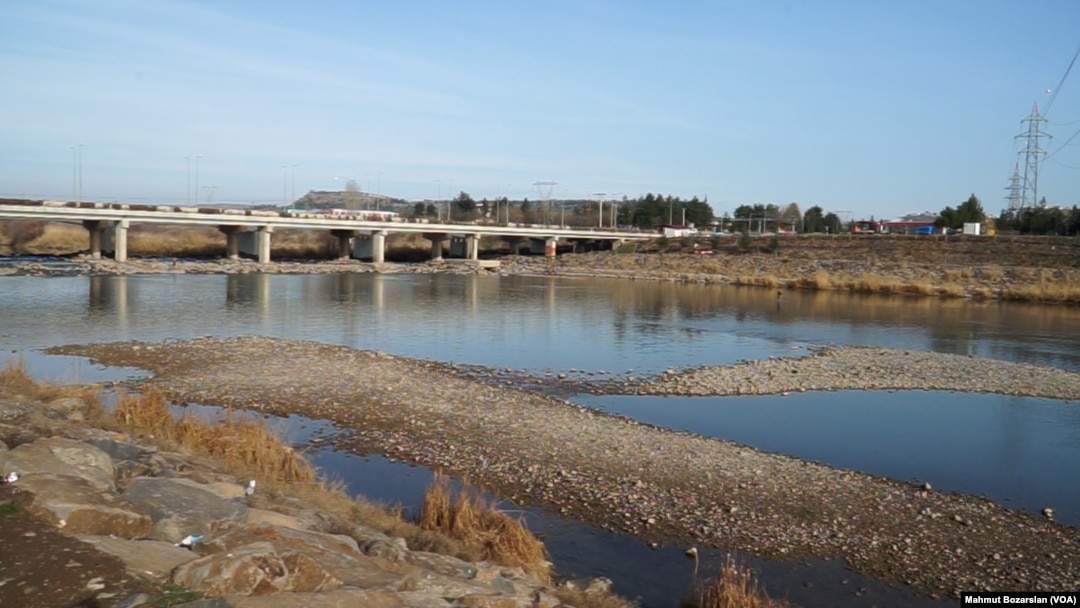 Yaklaşık 15 kilometrelik bölümü Diyarbakır’dan geçen Dicle Nehri’ndeki değişim çıplak gözle de görülebiliyor. 