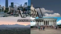 Amerika Manzaralari: AQShga parvozlar, qamoqdagi uyg’ur, choyxona