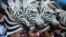 Argentina supporters with zebra-shaped hats are seen before a Pool C match of the 2015 Rugby World Cup between New Zealand and Argentina at Wembley stadium, north London.