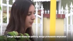 Котенок в «мерседесе»