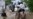 Suicide Bomber Kills 25 in Southwestern Pakistan