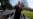 美中峰会在即 美高官呼吁北京释放两位美公民