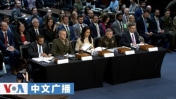 美国之音中文广播 (2026年3月19日)