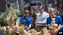 Elephant Poaching-Times Square