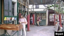 Tour guide and author Rosemary Flannery leafs through a book at Shakespeare and Company, a popular American book store in Paris. (Lisa Bryant/VOA)