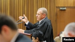 Le procureur sud-africain Gerrie Nel parle lors de son appel contre le verdict et la sentence d'Oscar Pistorius à Pretoria, le 9 décembre 2014.