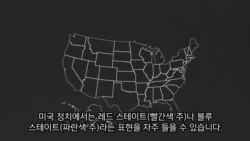 [2020 미국의 선택!] 레드 스테이트, 블루 스테이트