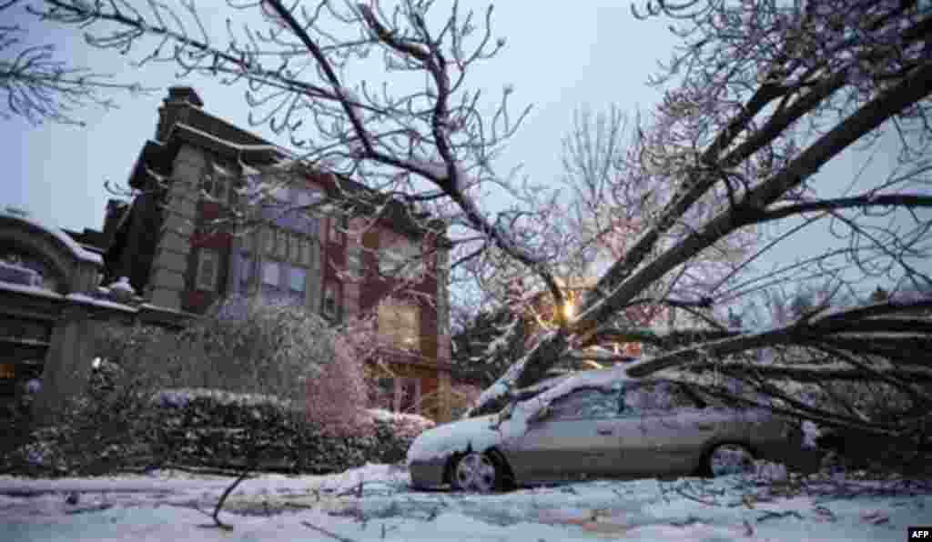 A tree rests on a car, Thursday, Jan. 19, 2012, in front of an apartment building in Tacoma, Wash. On the heels of heavy snow that fell Wednesday, the Western Washington region was hit with an ice storm Thursday that coated trees and vehicles with a heavy