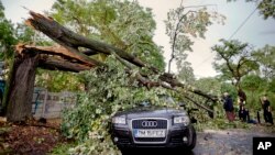 Emergency workers and onlookers stand next to a fallen tree in Timisoara, Romania, Sept. 17, 2017, following a deadly storm.