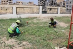 Workers are seen cutting grass and weeds at a park in Raqqa, Syria, June 13, 2019. (Courtesy photo)