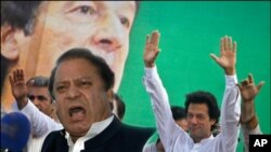 پاکستانی سیاست میں کرکٹ کا نمایاں ہوتا رنگ