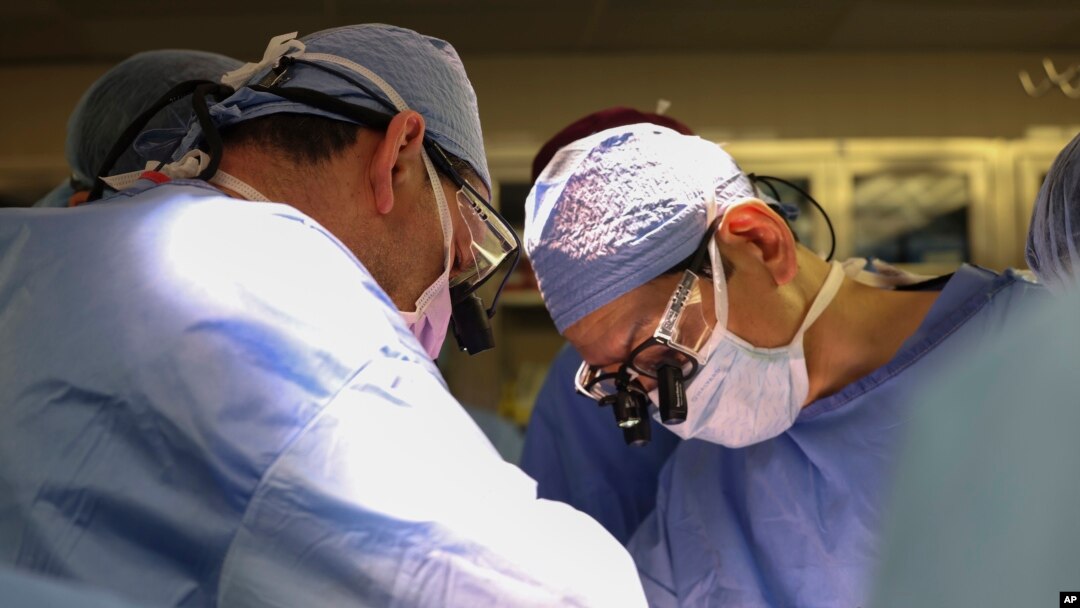 Transplantacija genetski modifikovanog bubrega svinje. (Massachusetts General Hospital via AP)
