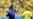World Cup: Brazil Falls to Netherlands